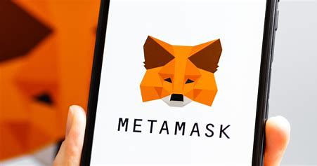 Best Metamask Wallet Guide